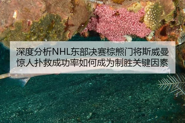 shen-du-fen-xi-dong-bu-jue-sai-zong-xiong-men-jiang-si-wei-man-jing-ren-pu-jiu-cheng-gong-lv-ru-he-cheng-wei-zhi-sheng-2-487.jpg